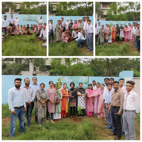 293333701_414164687398864_186588416746595454_n